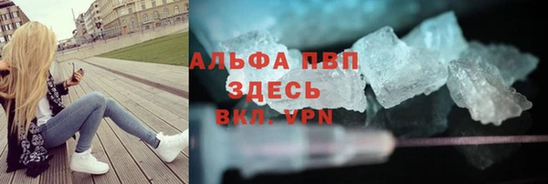 мяу мяу мука Аркадак