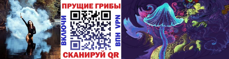 Галлюциногенные грибы GOLDEN TEACHER  купить   Ахтубинск 